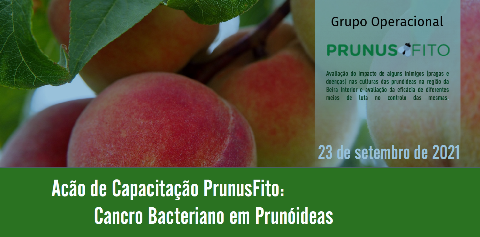 PrunusFito Capacitação