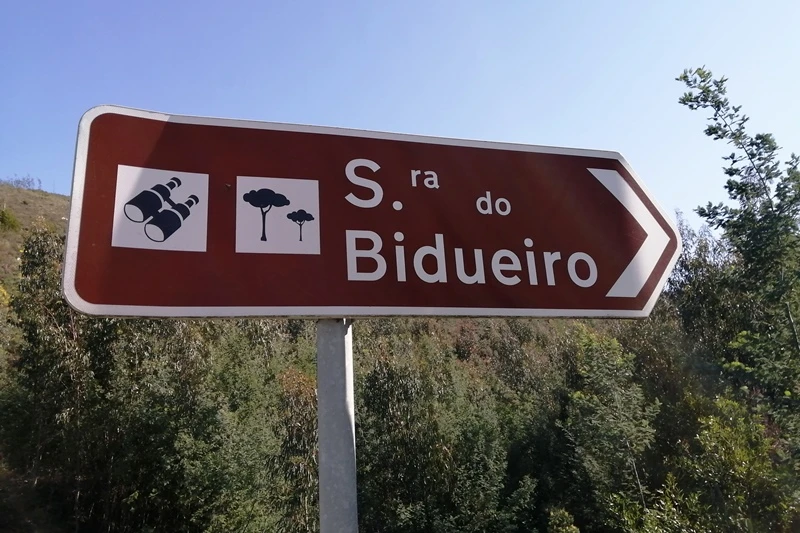 Bidueiro Amostra solo C 02Fevereiro 2023
