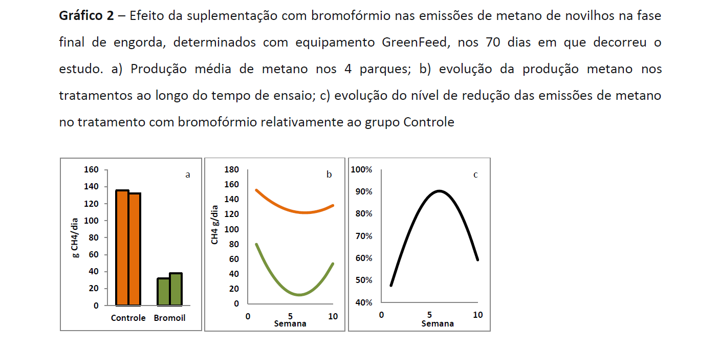 Captura de ecrã 2026 03 12 150450