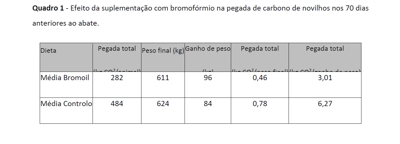 Captura de ecrã 2026 03 12 150843