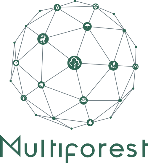 MultiForest Logo