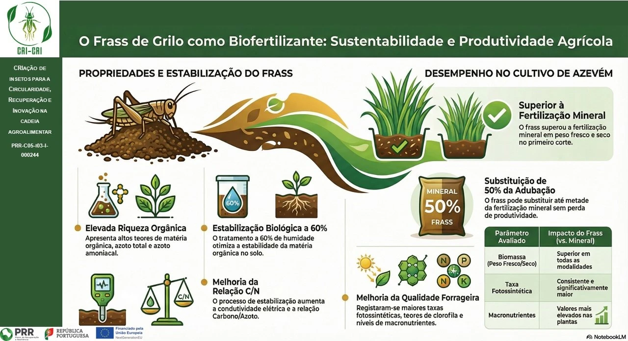 infografia1