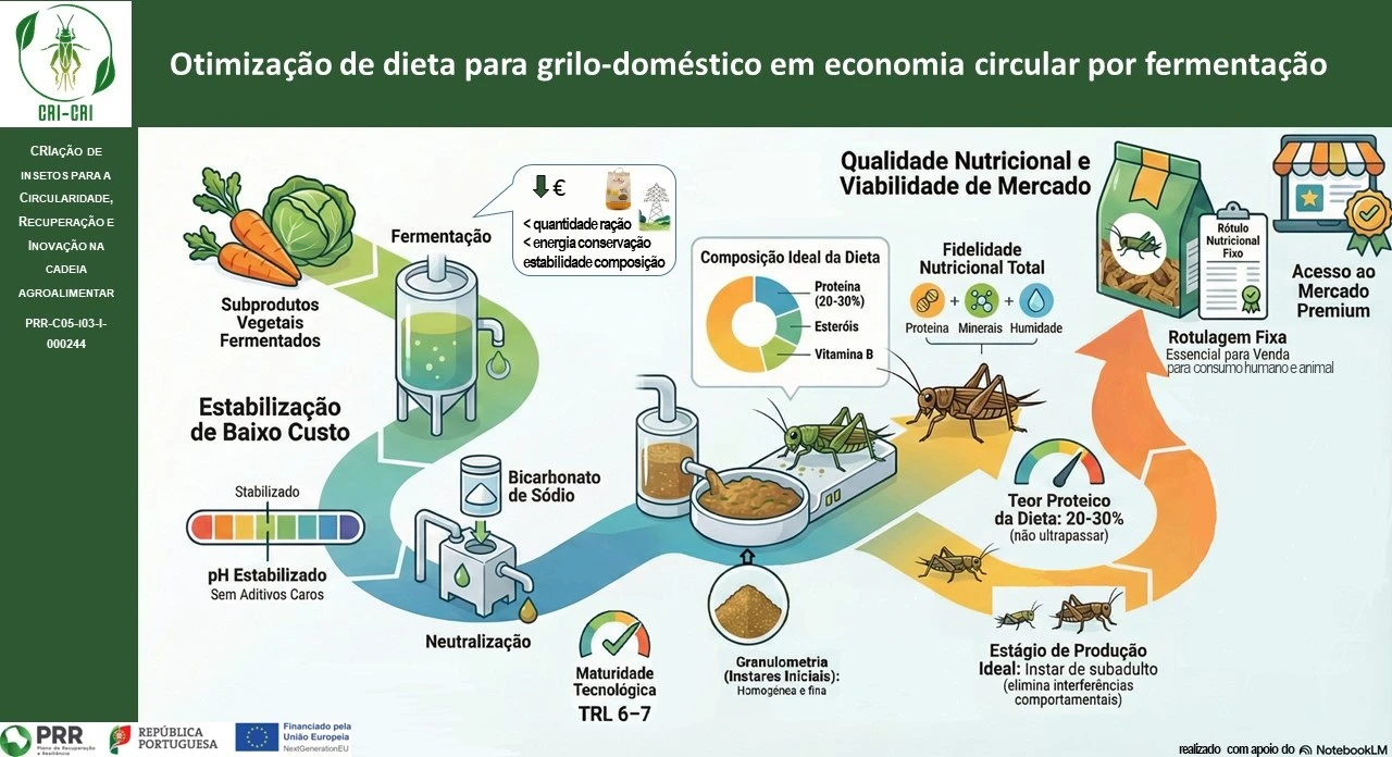 infografia2