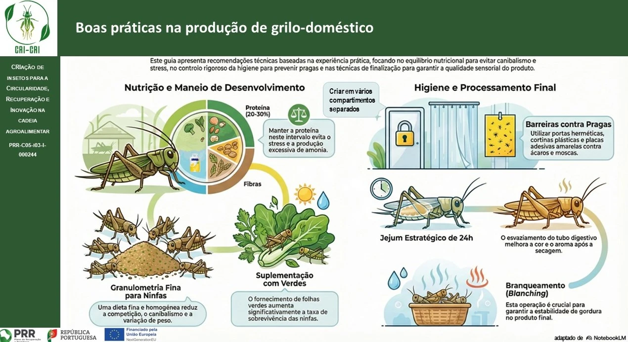 infografia3