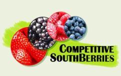 Competitive southberries GO