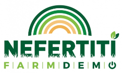 logo NEFERTITI