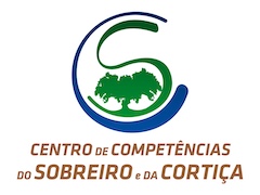ccsc logo padding