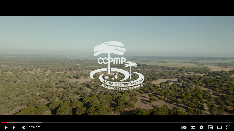 video CCPMP
