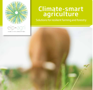 Brochura EIP AGRI