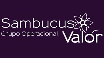 Sambucus valor logo