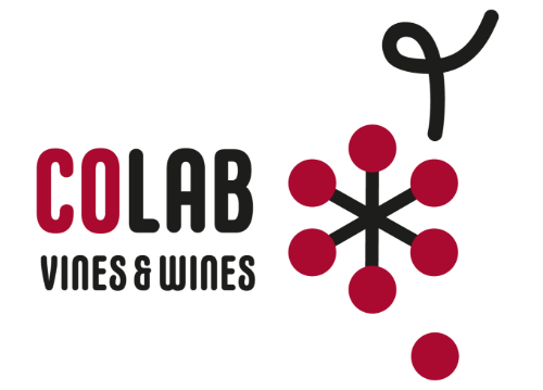 colab vines wines