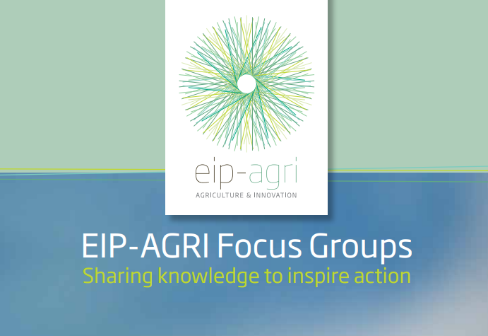 eipagri focusgroups