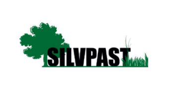 SILVPAST