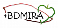 +BDMIRA - Batata-doce competitiva e sustentável no Perímetro de Rega do Mira: técnicas culturais inovadoras e dinâmica organizacional
