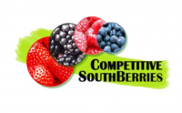 CompetitiveSouthBerries - Pequenos frutos competitivos e sustentáveis: técnicas culturais inovadoras para o alargamento da época de produção