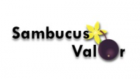 SambucusValor - Valorização integrada do sabugueiro em função dos padrões de consumo saudável: da planta à criação de novos produtos alimentares de valor acrescentado.