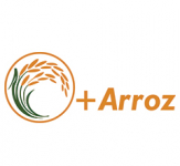 +ARROZ - Sustentabilidade do agro-ecossistema arrozal nacional