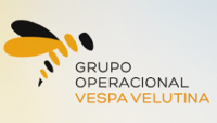 Controlo e minimização de prejuízos da espécie invasora Vespa velutina nigrithorax na produção apícola