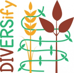 DIVERSify - Projetar equipas de plantas inovadoras para melhorar a resiliência de ecossistemas e sustentabilidade agrícola