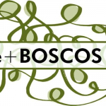 LIFE+BOSCOS - Gestão Florestal Sustentável de Menorca num contexto de alteração climática