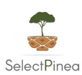 SelectPinea - Desenvolvimento de marcadores genéticos para características de interesse em Pinheiro manso (Pinus pinea)