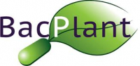 BacPlant - Rumo a uma agricultura sustentável, aumentando a tolerância das plantas ao stress biótico sob alterações climáticas