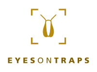 EyesOnTraps+ - Detecção inteligente de pragas da vinha por aprendizagem automática para monitorização fitossanitária da vinha