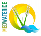MEDWATERICE - Utilização sustentável da água nos agroecossistemas do arroz, na região mediterrânica