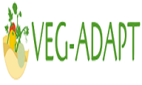 Veg-Adapt: Adapting Mediterranean vegetable crops to climate change-induced multiple stress