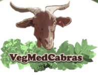 VegMedCabras: Vegetação mediterrânica: anti-helmínticos naturais na dieta selecionada por cabras em pastoreio
