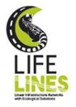 LIFE LINES