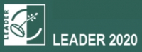 REDE LEADER 2020: Qualificar, Cooperar, Comunicar