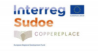 COPPEREPLACE - Desenvolvimento e implementação de novas tecnologias, produtos e estratégias para reduzir a aplicação de cobre em vinhas e remediar solos contaminados na região SUDOE