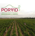 Salvar a diversidade intravarietal de variedades de videira autóctones