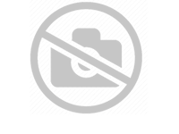 PhenoBot: Fotónica Inteligente para Fenotipagem de Culturas Agroalimentares