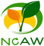 No Agro-Waste: Abordagens inovadoras para transformar resíduos agrícolas em ativos económicos e ecológicos 