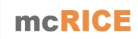 mcRICE - Compósitos multifuncionais sustentáveis produzidos a partir de casca de arroz integrando granulados reciclados de borracha e cortiça